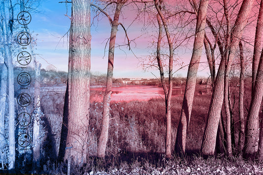 --204-Peaceful Trees By Lake Ames 2026 IMG_4871