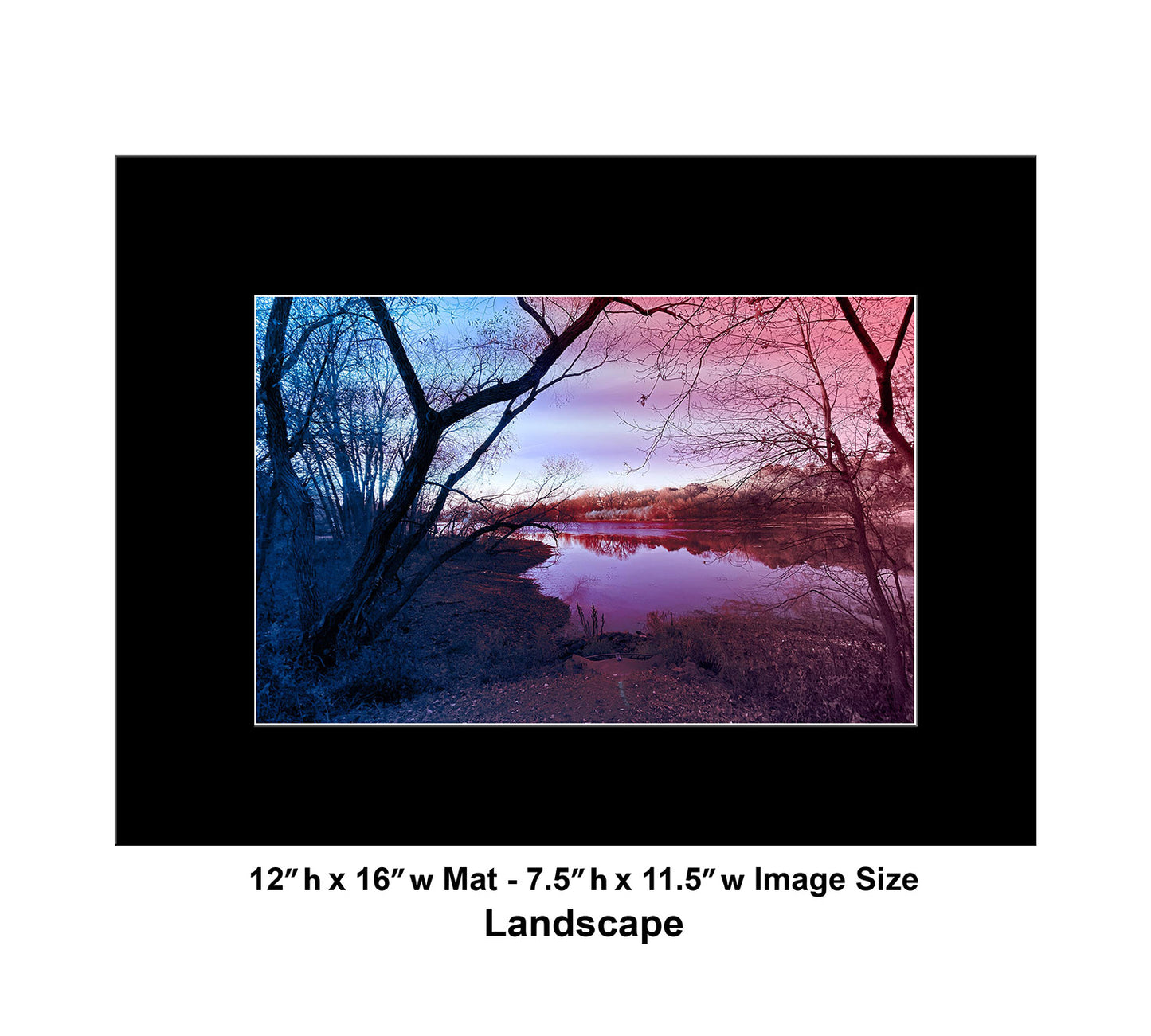 --209 Dark Tree Purple Lake 2026 IMG_4883
