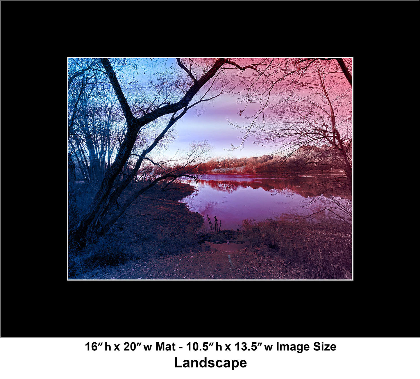 --209 Dark Tree Purple Lake 2026 IMG_4883