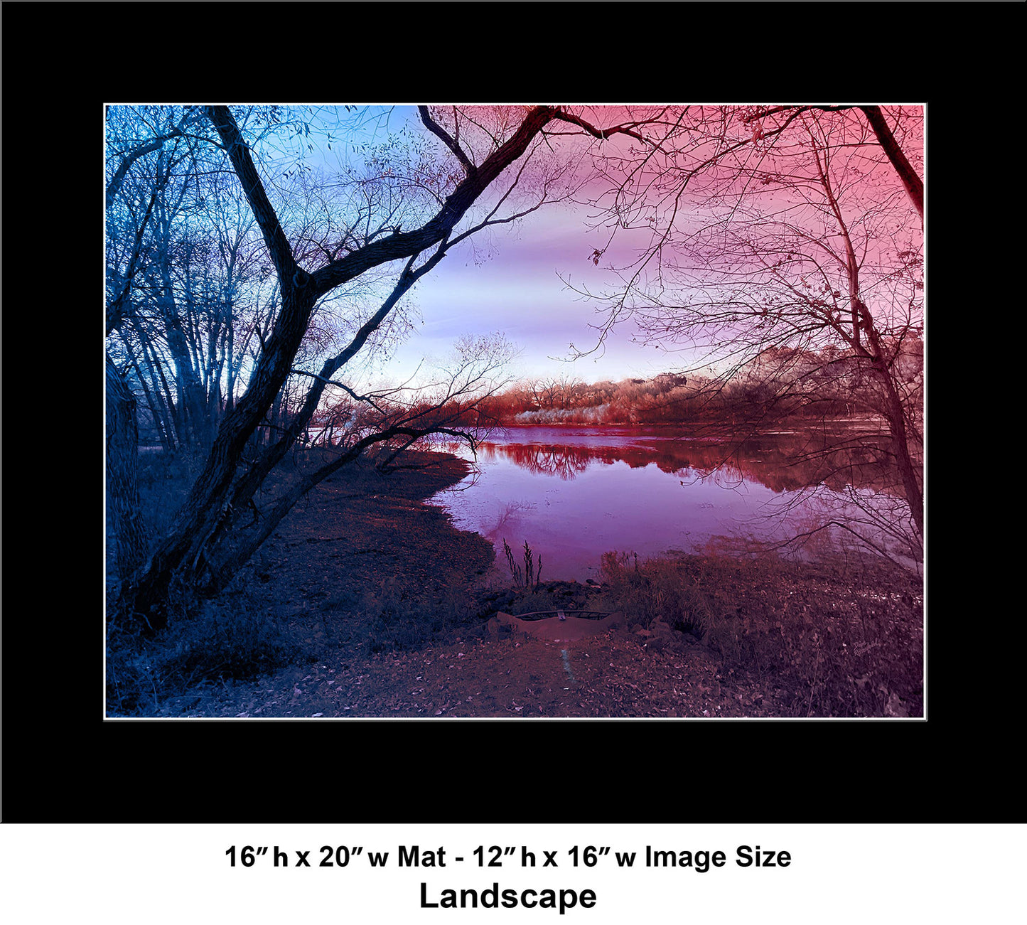 --209 Dark Tree Purple Lake 2026 IMG_4883