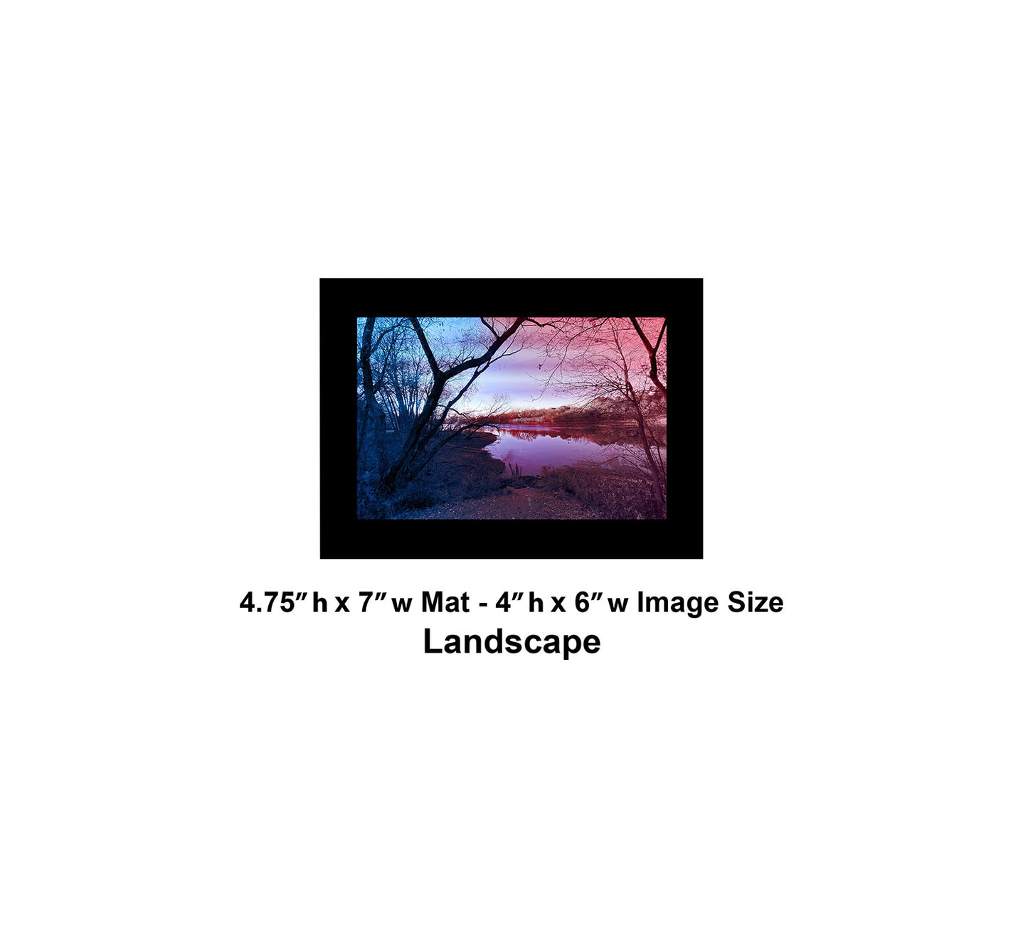 --209 Dark Tree Purple Lake 2026 IMG_4883