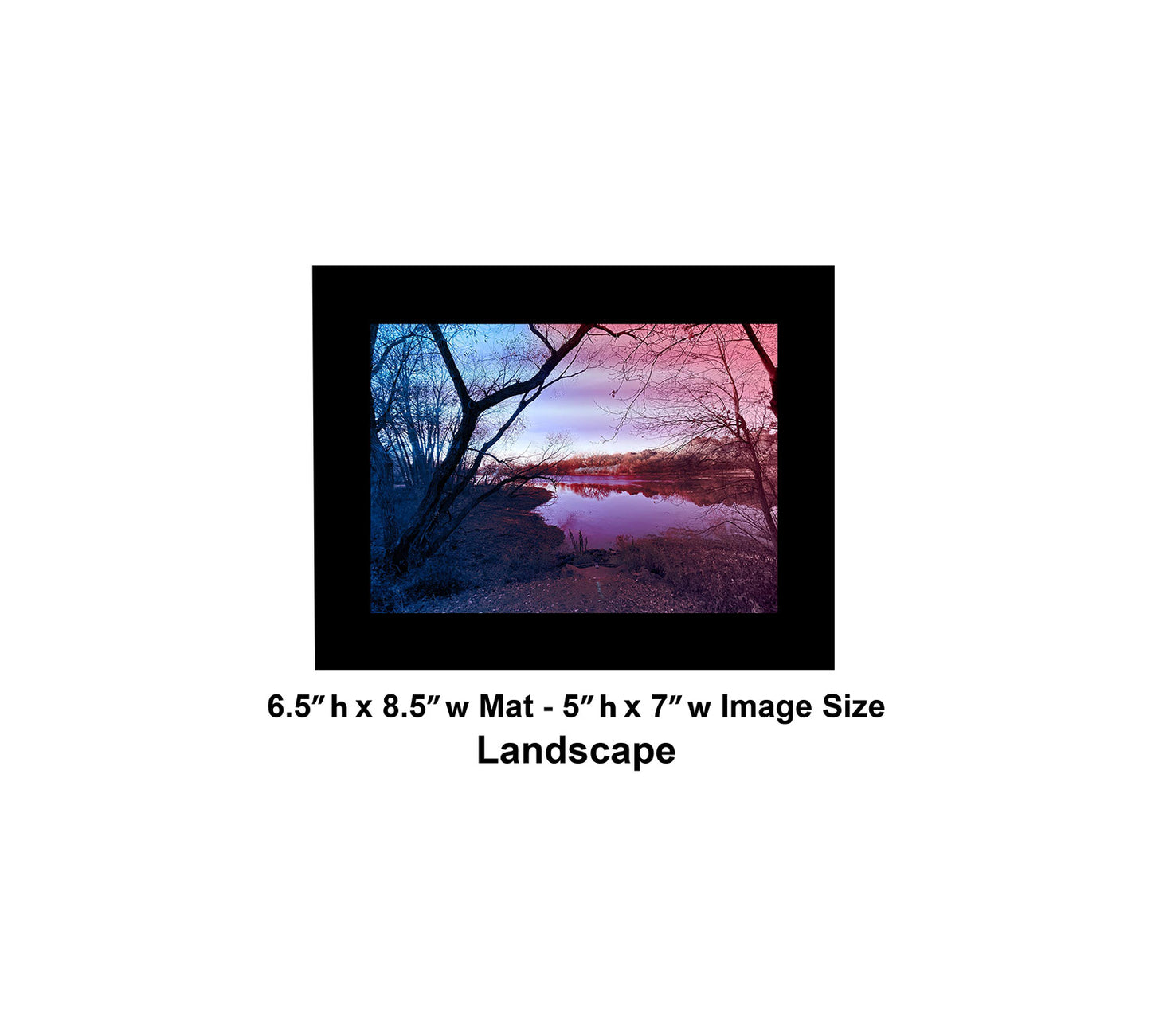 --209 Dark Tree Purple Lake 2026 IMG_4883