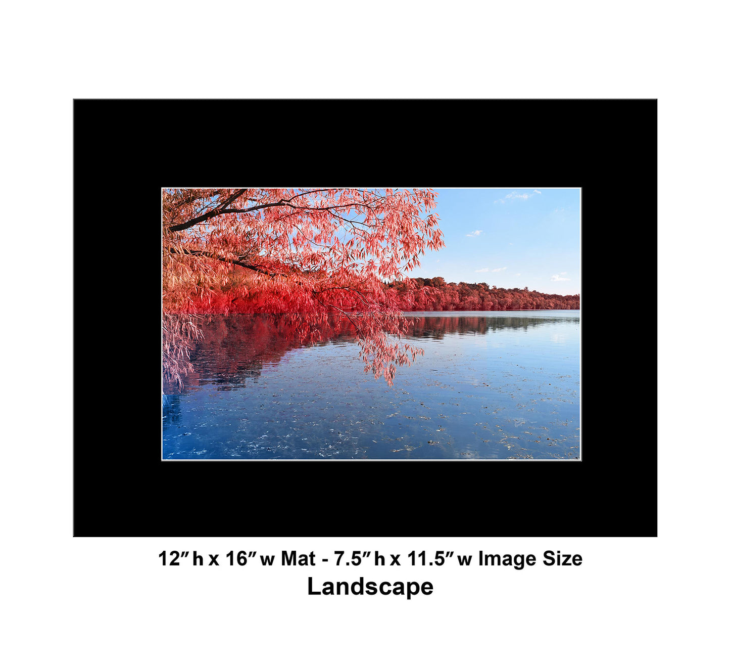 --219 Red Trees Blue Lake 2026 DSC_0959