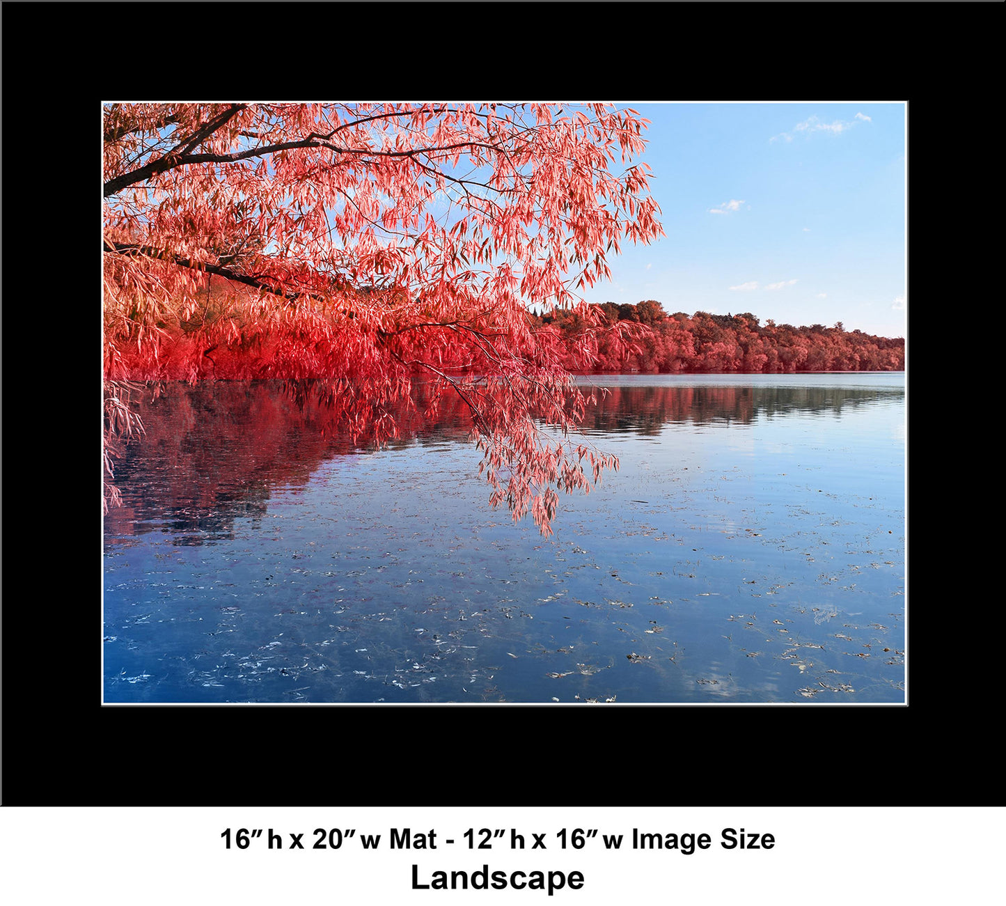 --219 Red Trees Blue Lake 2026 DSC_0959