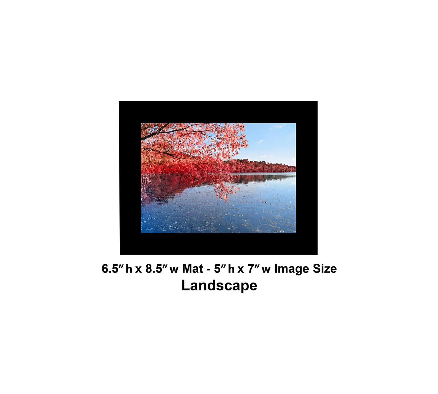 --219 Red Trees Blue Lake 2026 DSC_0959