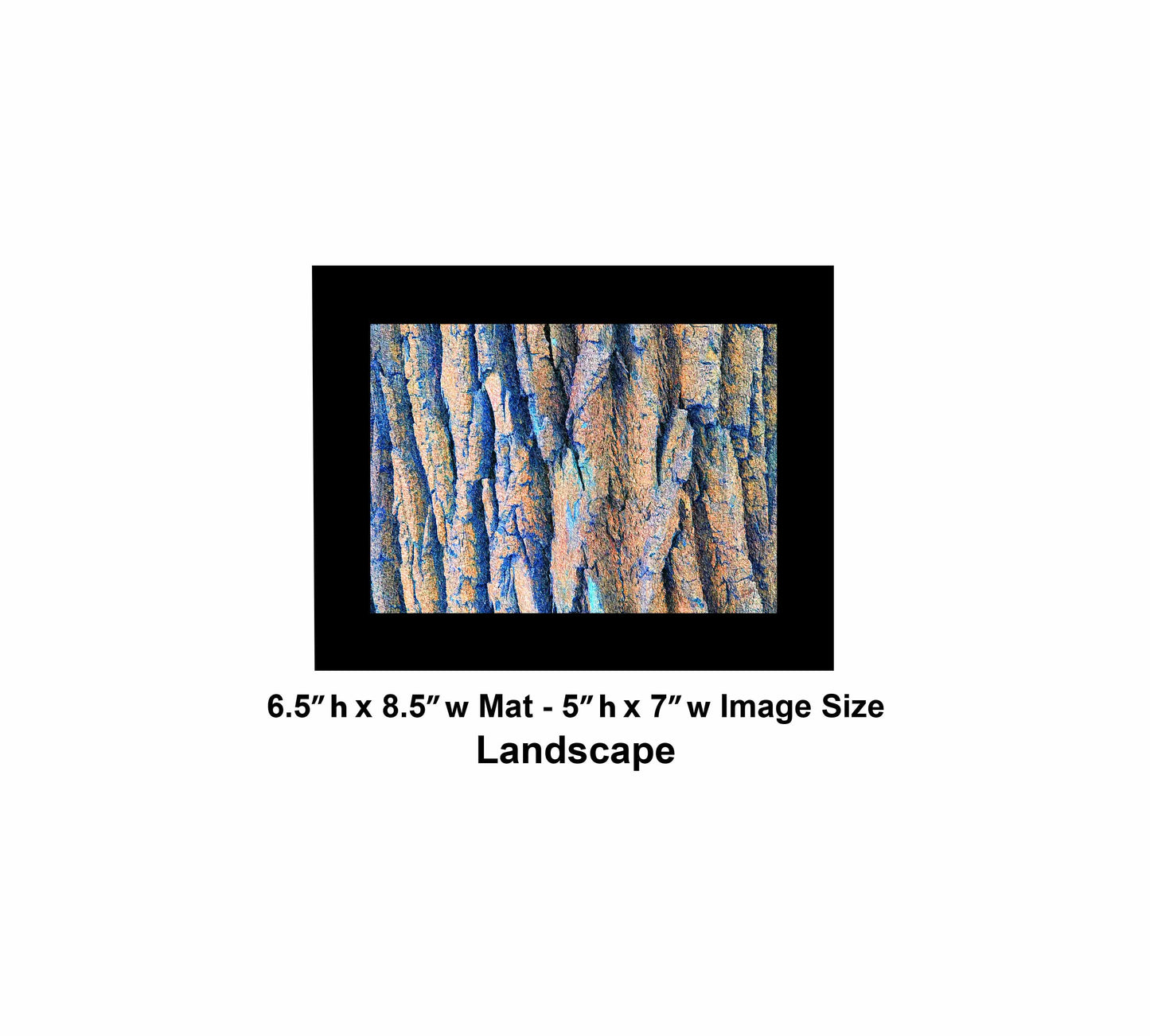 21 Tree Blue Orange IMG_2505