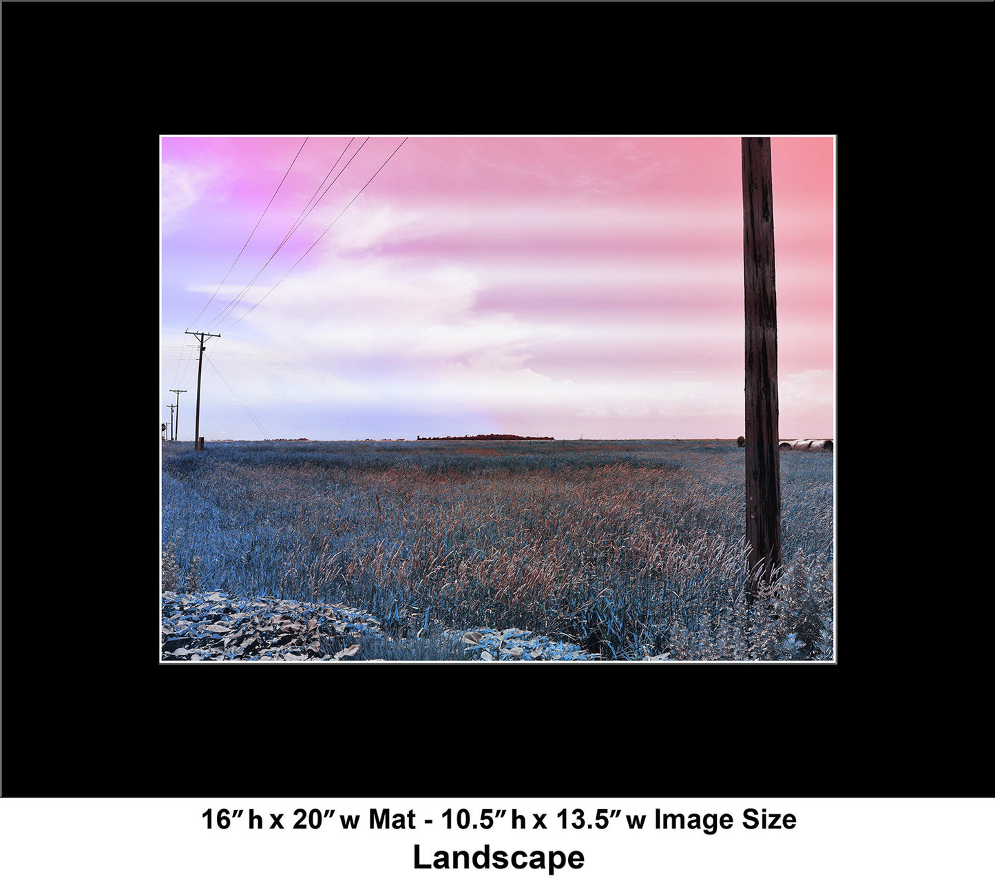 --222 Telephone Poles in Field 2026 DSC_2728