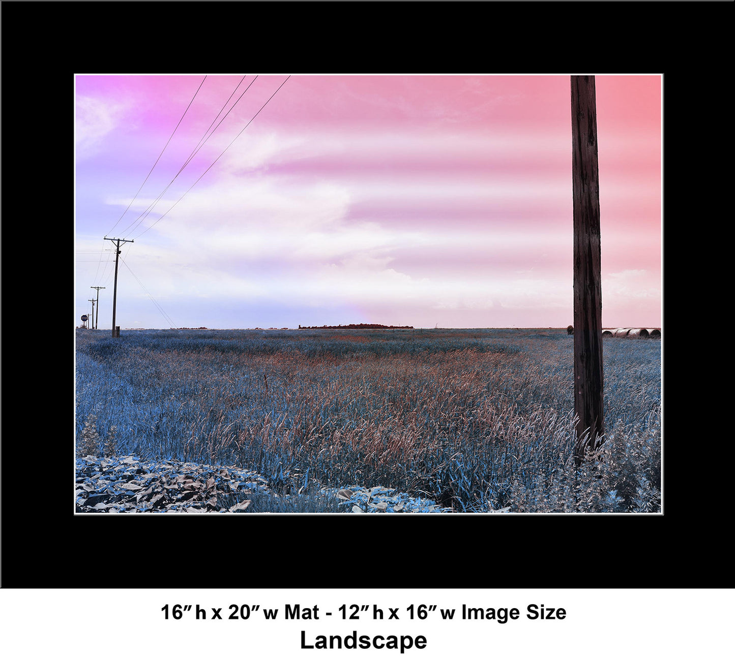 --222 Telephone Poles in Field 2026 DSC_2728