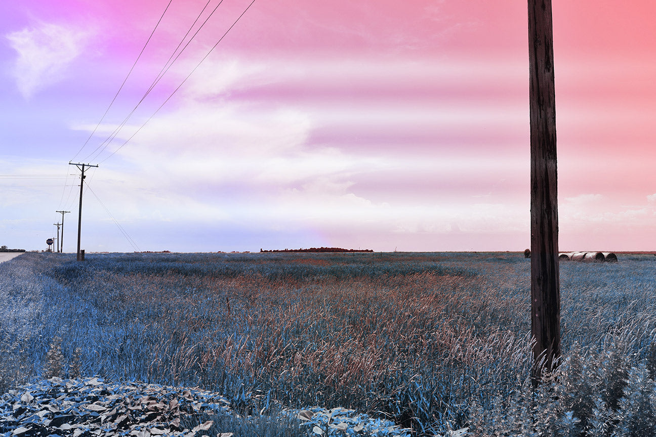 --222 Telephone Poles in Field 2026 DSC_2728