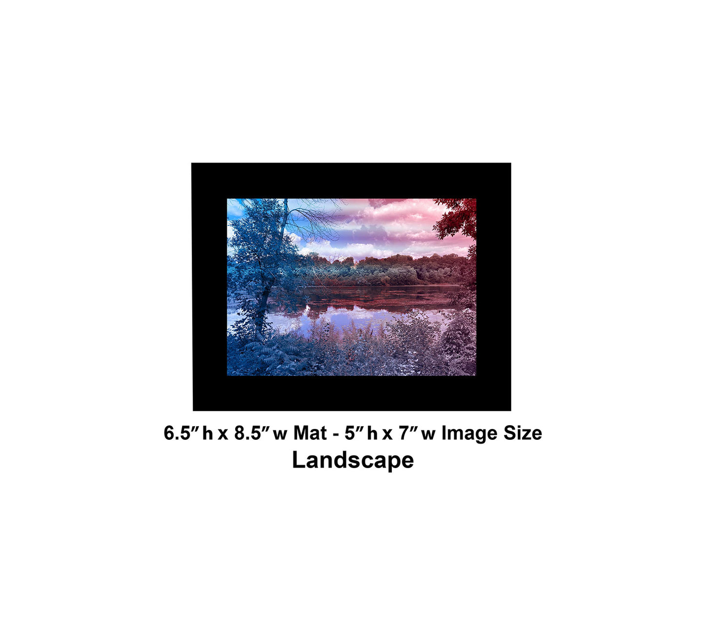 --223 Tree by Lake 2026 IMG_4397