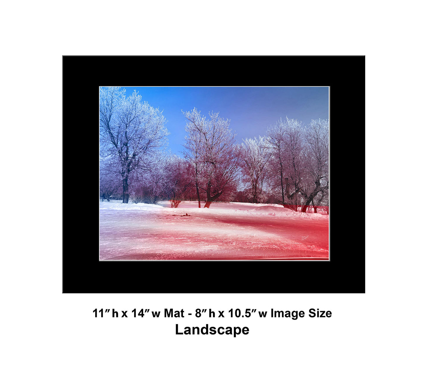 --225 White Trees Red Snow 2026 IMG_5306