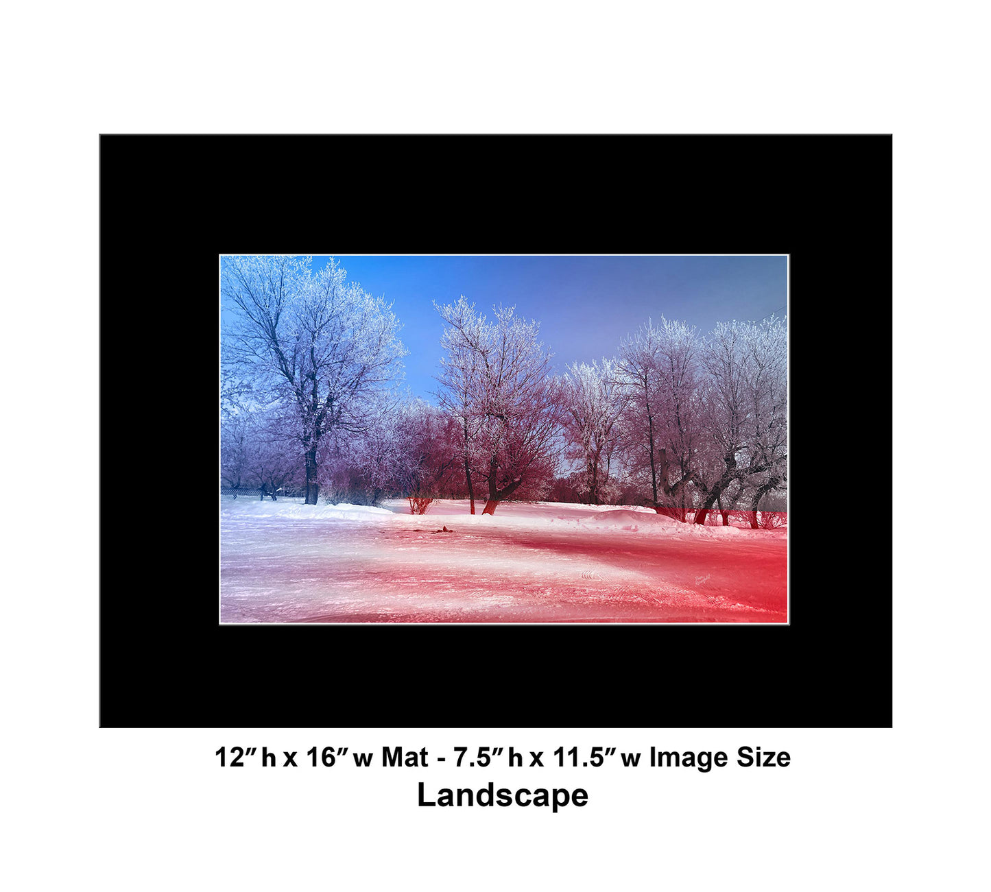 --225 White Trees Red Snow 2026 IMG_5306