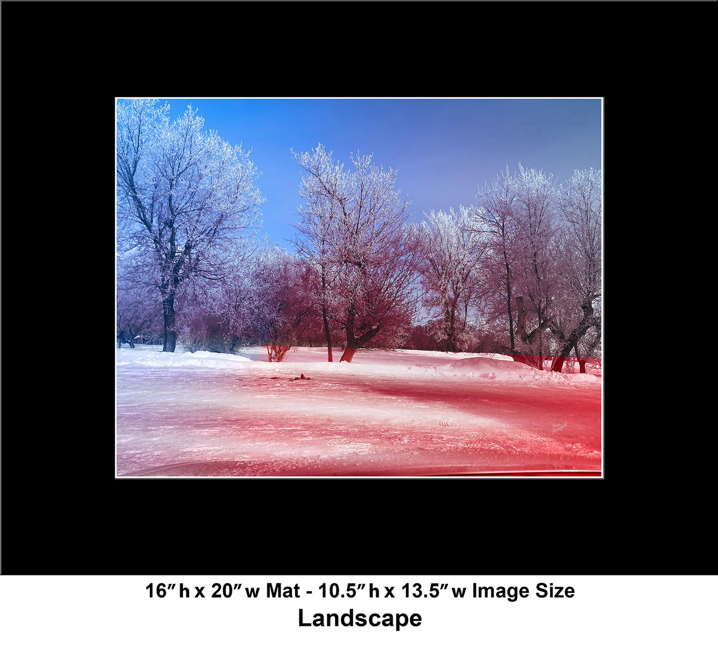 --225 White Trees Red Snow 2026 IMG_5306