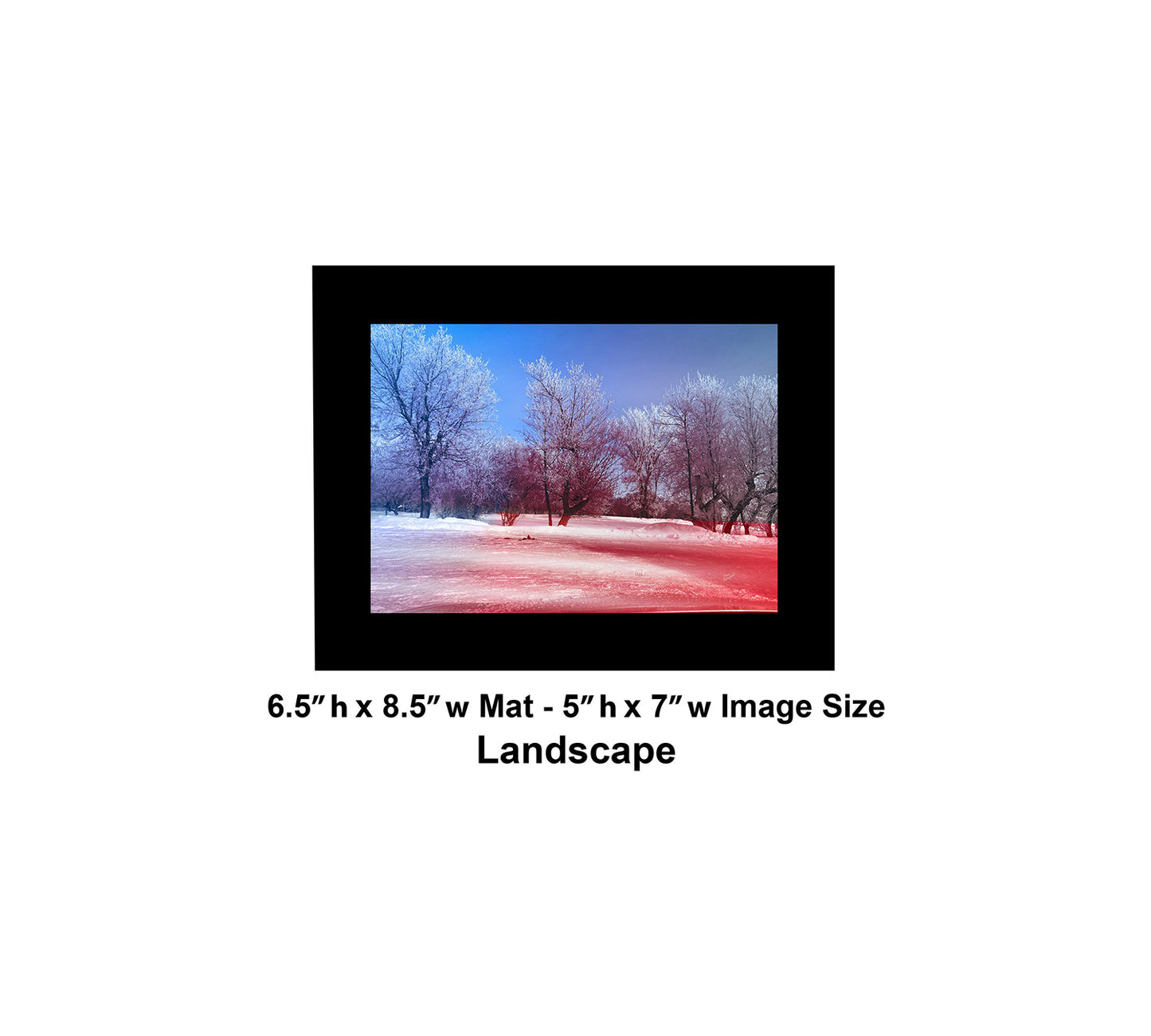 --225 White Trees Red Snow 2026 IMG_5306