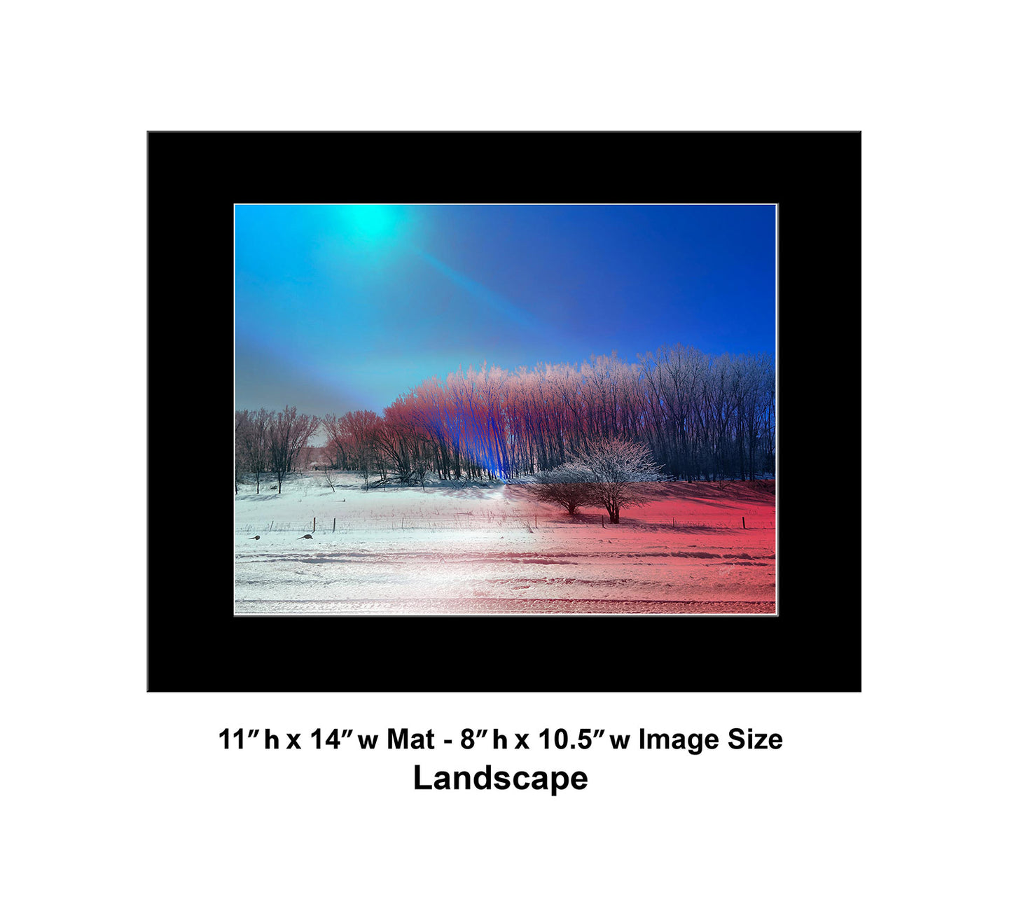 --228 Winter Blue Sky Red Trees 2026 IMG_5296