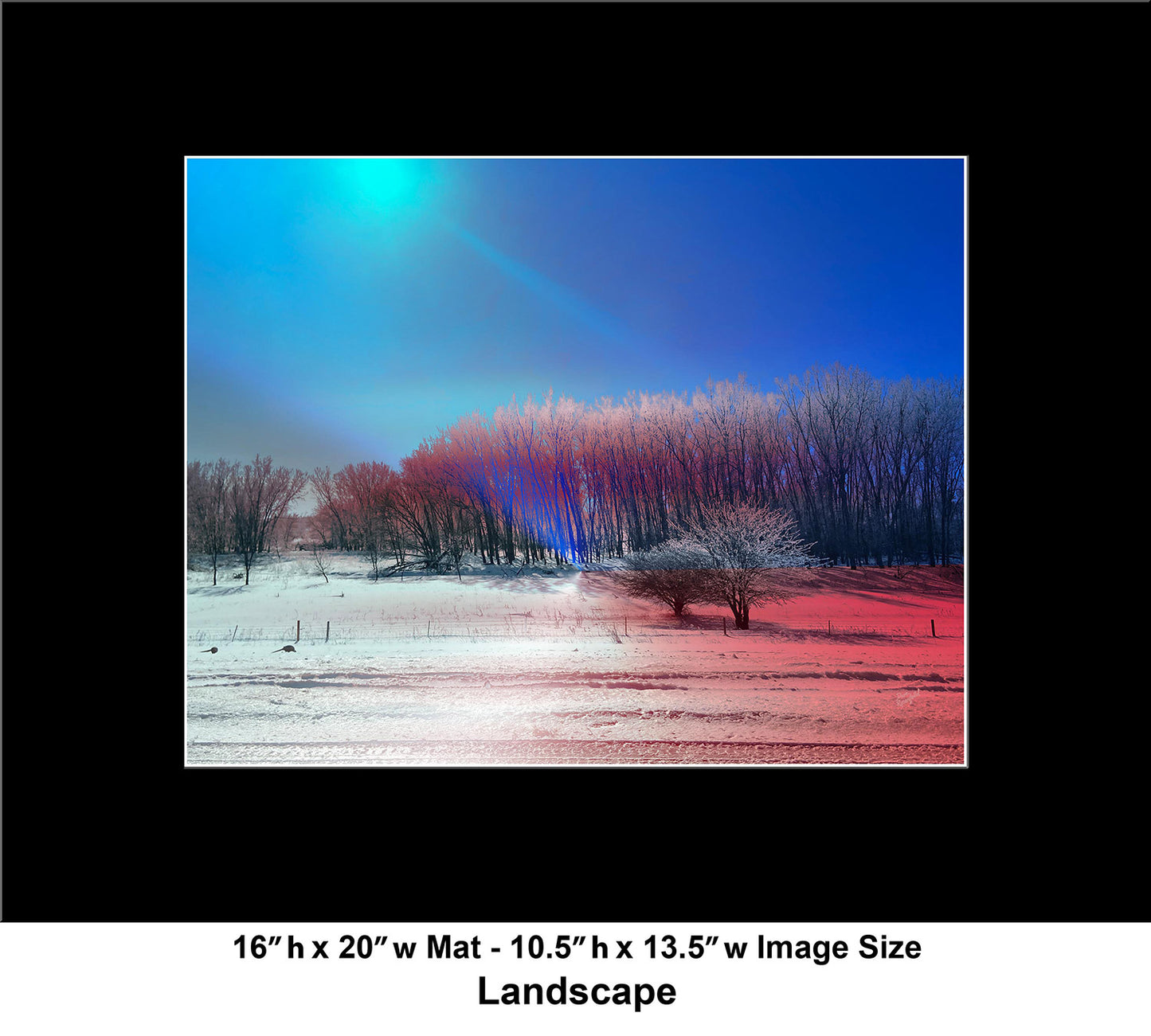 --228 Winter Blue Sky Red Trees 2026 IMG_5296