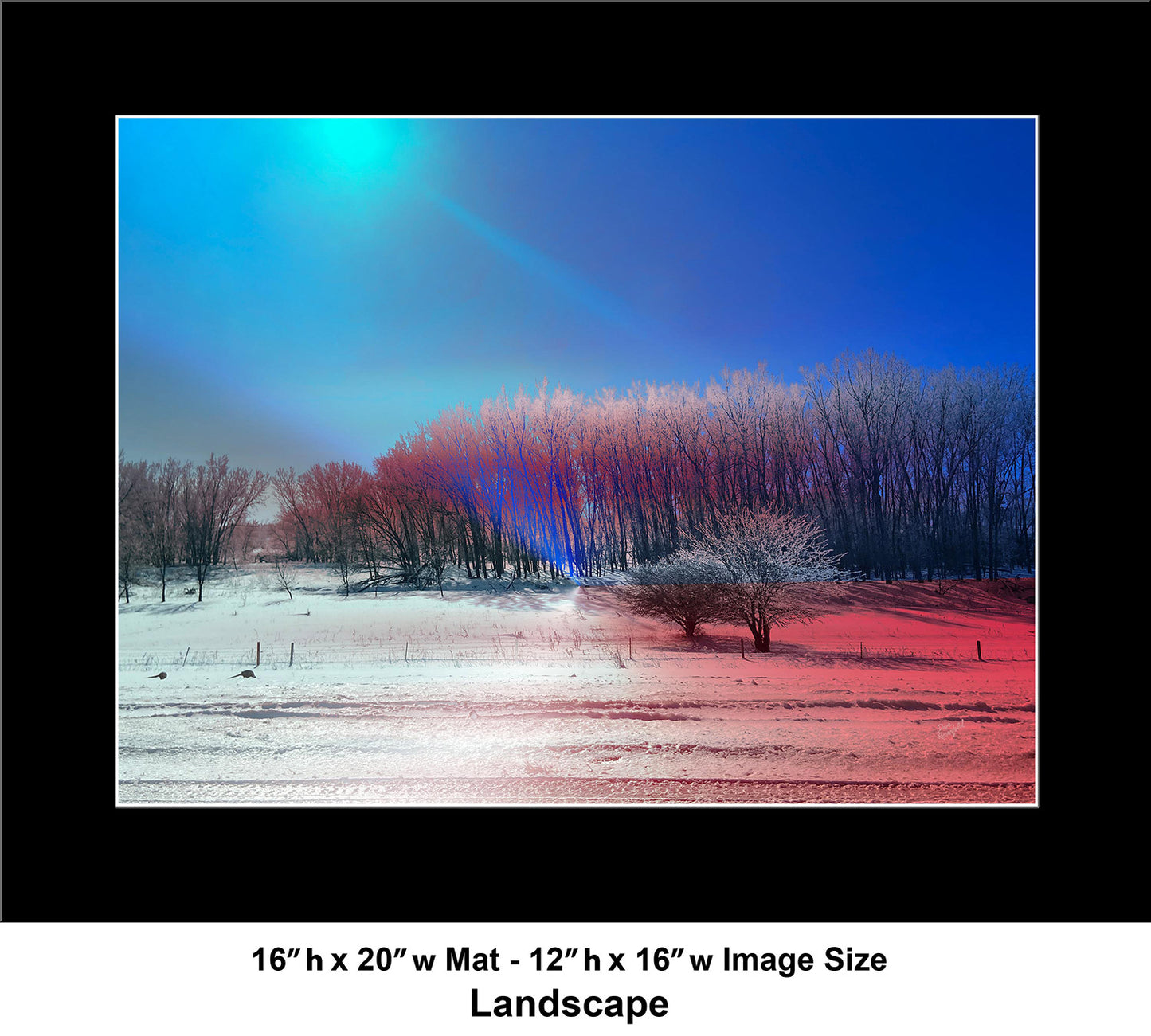 --228 Winter Blue Sky Red Trees 2026 IMG_5296