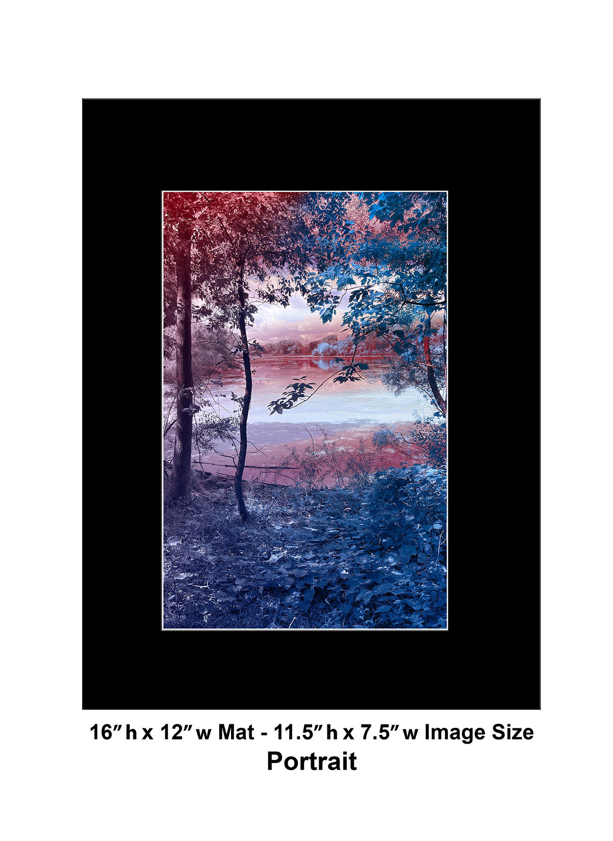 --231 Blue Leaves Red Tree 2026 IMG_4395