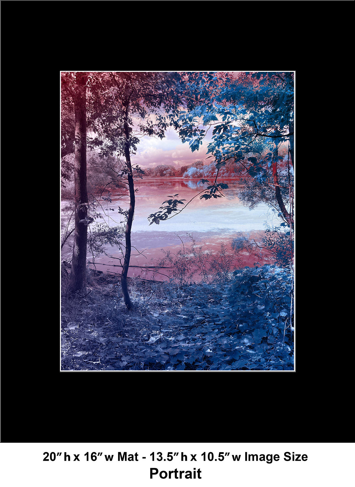 --231 Blue Leaves Red Tree 2026 IMG_4395