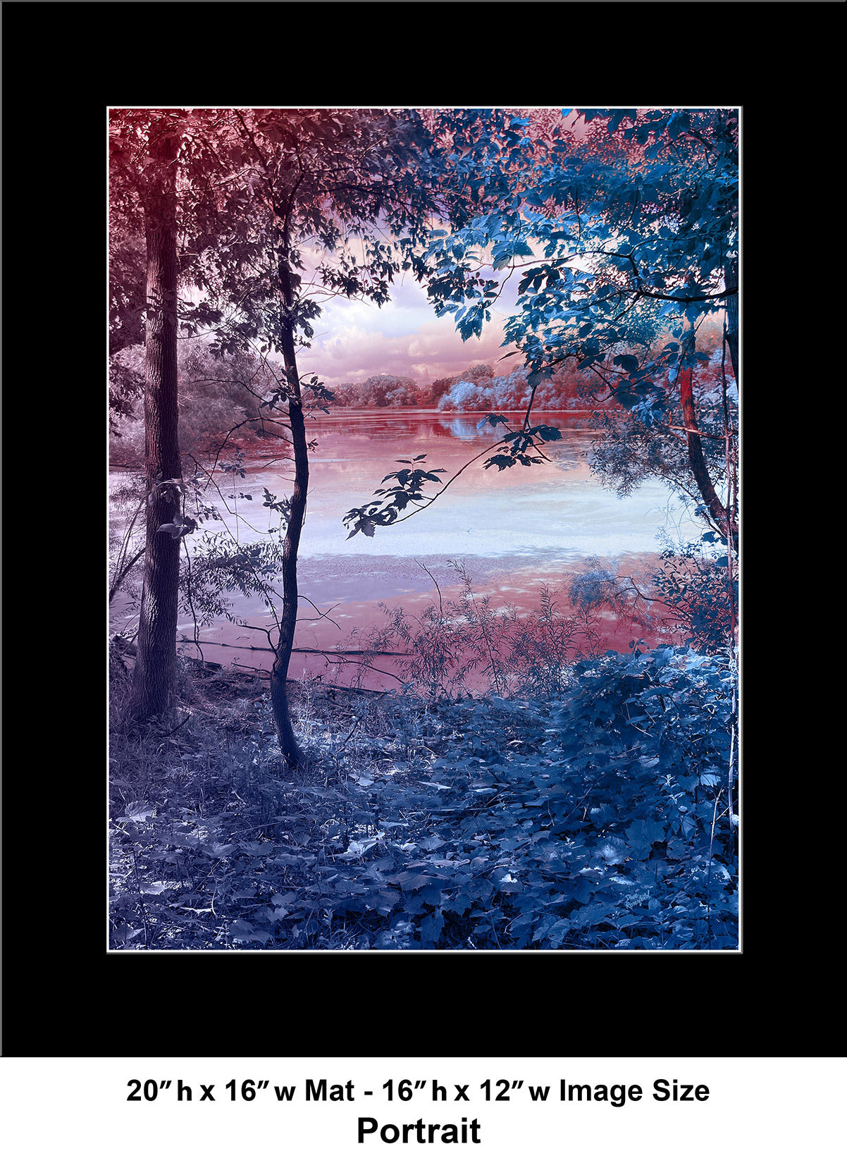 --231 Blue Leaves Red Tree 2026 IMG_4395
