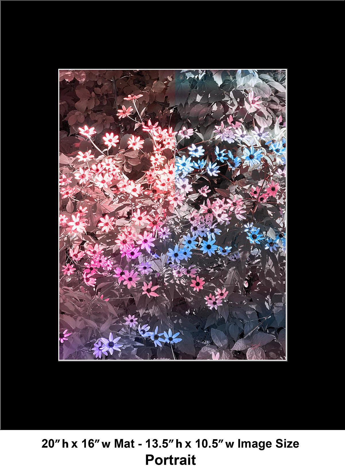 --234 Red Blue Small Flowers IMG_4499