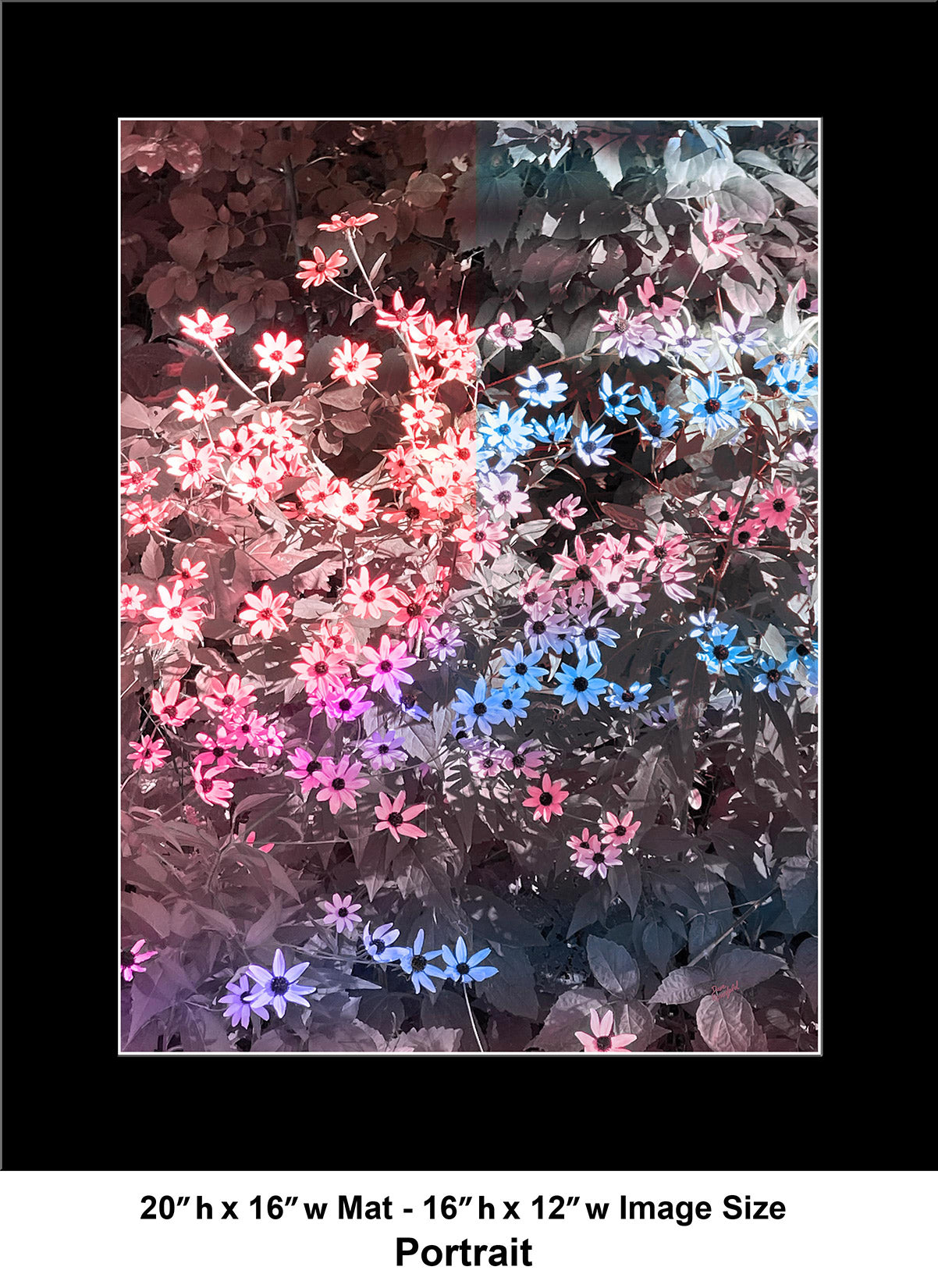 --234 Red Blue Small Flowers IMG_4499
