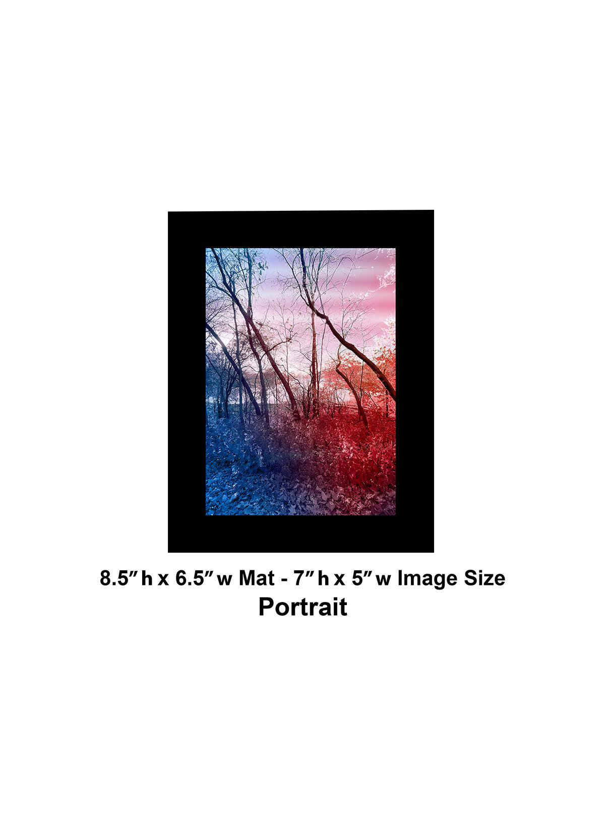 --235 Red Blue Winter Trees 2026 IMG_4881