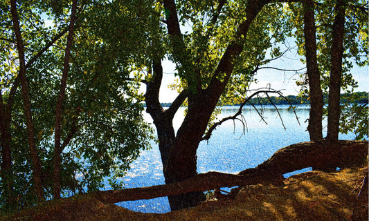 49 Shadow Tree Lake DSC_0964