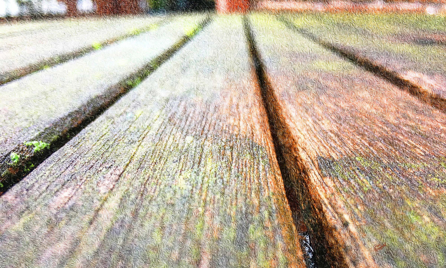 67 Close Wood Planks IMG_1377