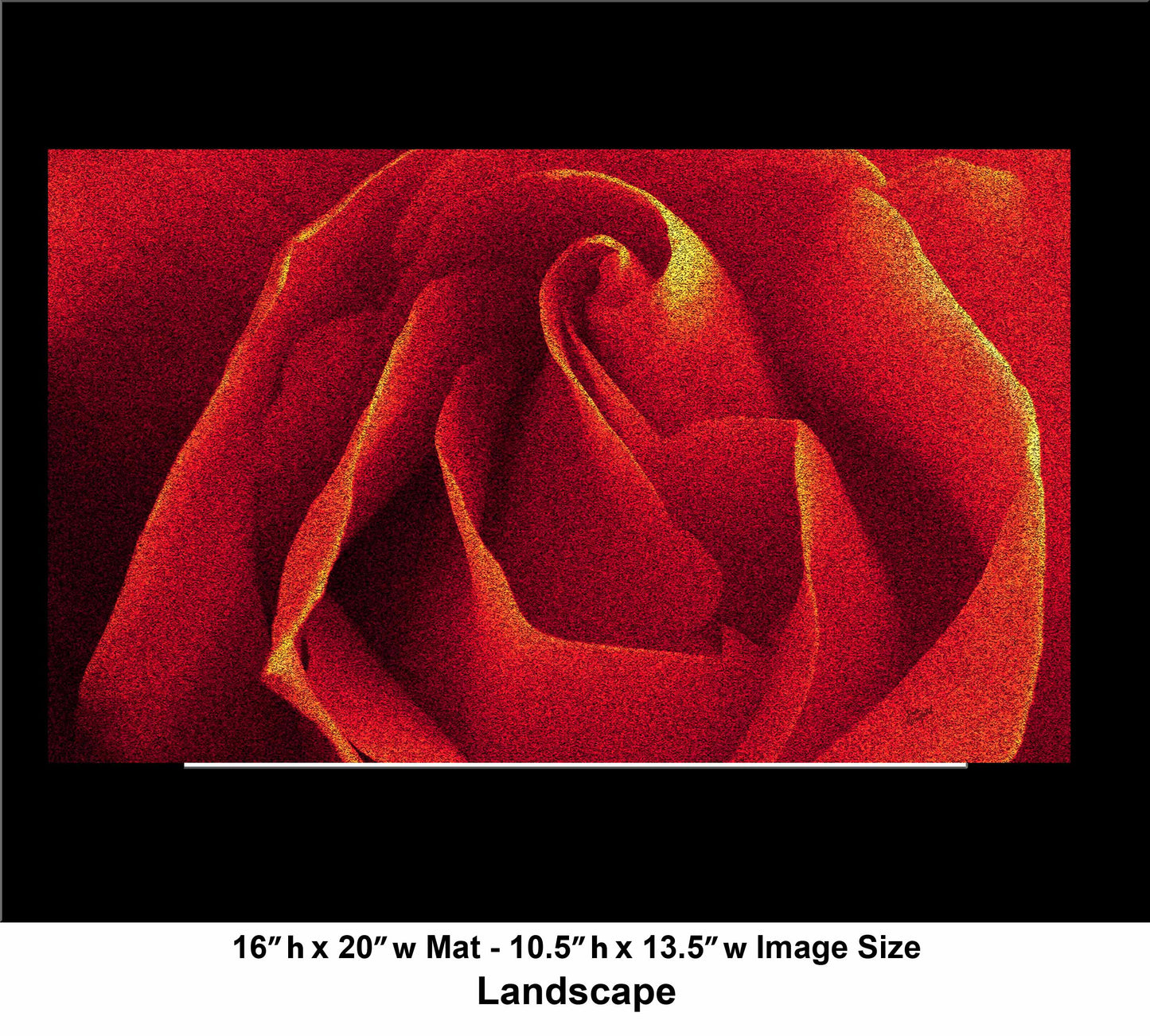 79 Close Red Rose Landscape