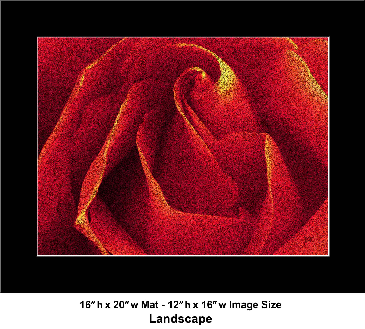 79 Close Red Rose Landscape