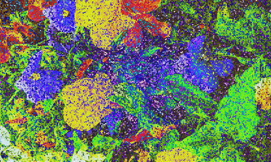 91 Many Color flowers IMG_1357 Landscape
