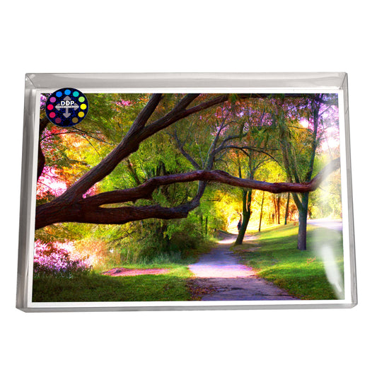 -Greeting-Cards-Group 1 2025 "World in Pieces"