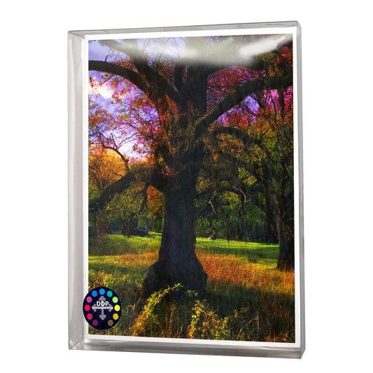 -Greeting-Cards-Group 2 2025 "World in Pieces"